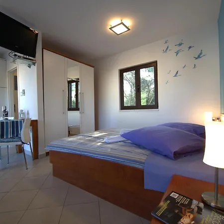 The Sea House *